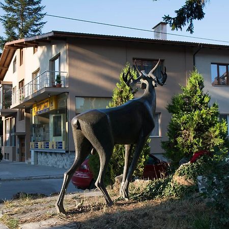 Guest House Elena Βέλινγκραντ Εξωτερικό φωτογραφία